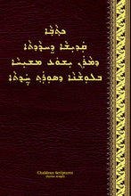 Load image into Gallery viewer, Chaldean NT [cldS] (Syriac script)