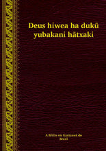 Load image into Gallery viewer, Huni Kui (Kaxinawá) Bible portions (Brasil) [cbs]