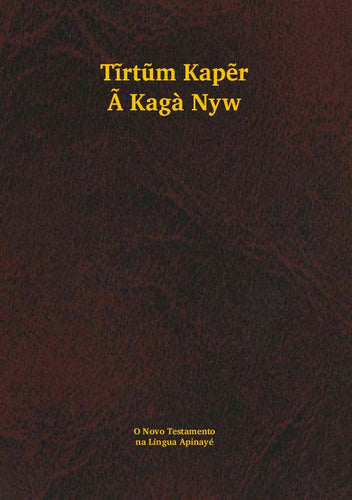 Apinayé NT [apn]